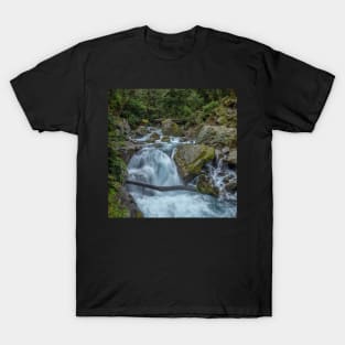 Waterfall Series 4 T-Shirt